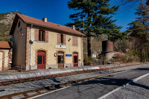 La gare flanquée du gros cèdre