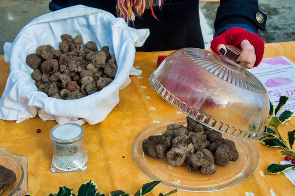 la fête de la truffe